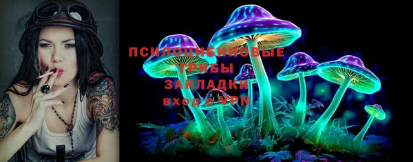 бошки Абаза